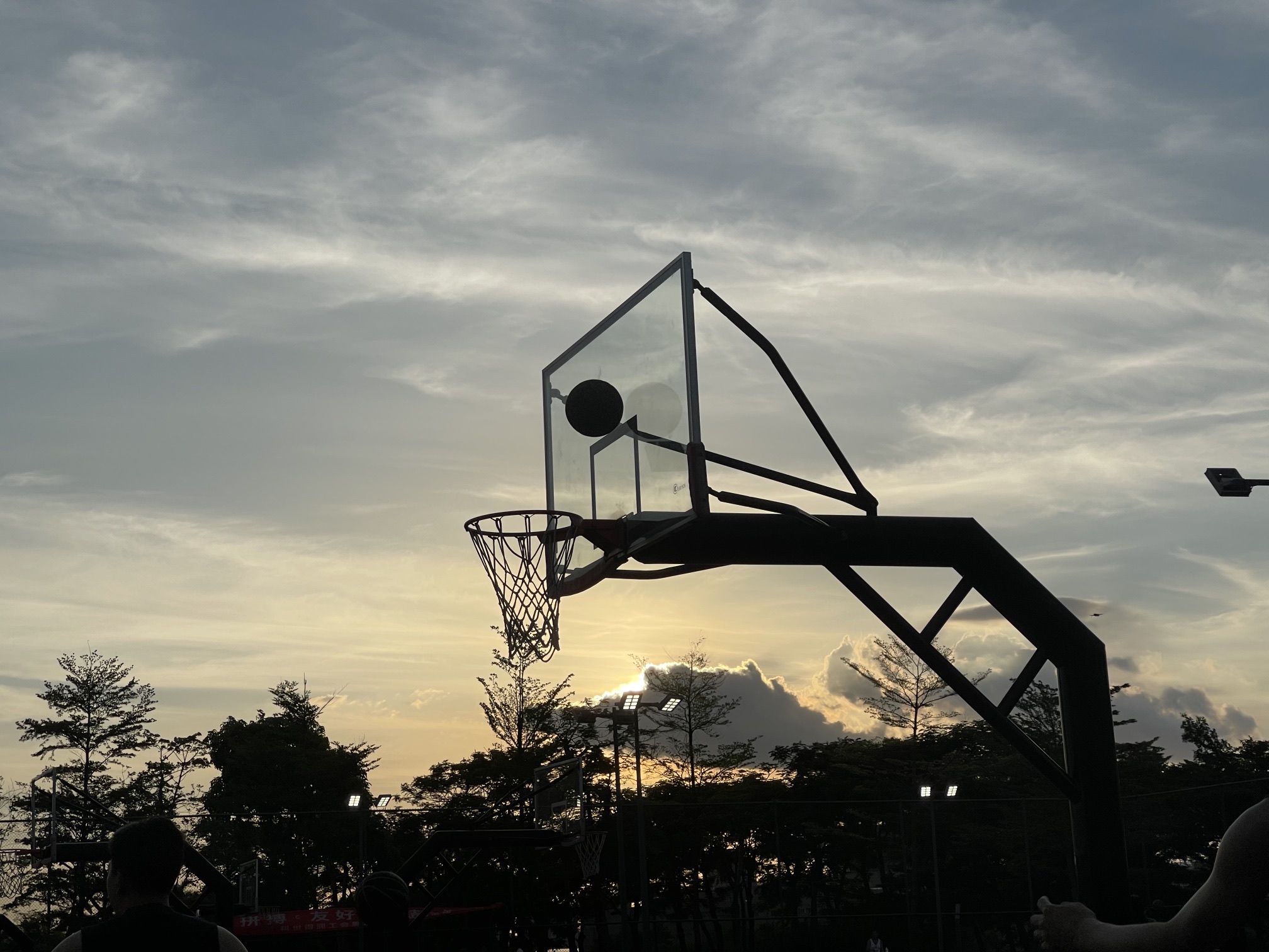 龙溪湖公园旅行图片 3