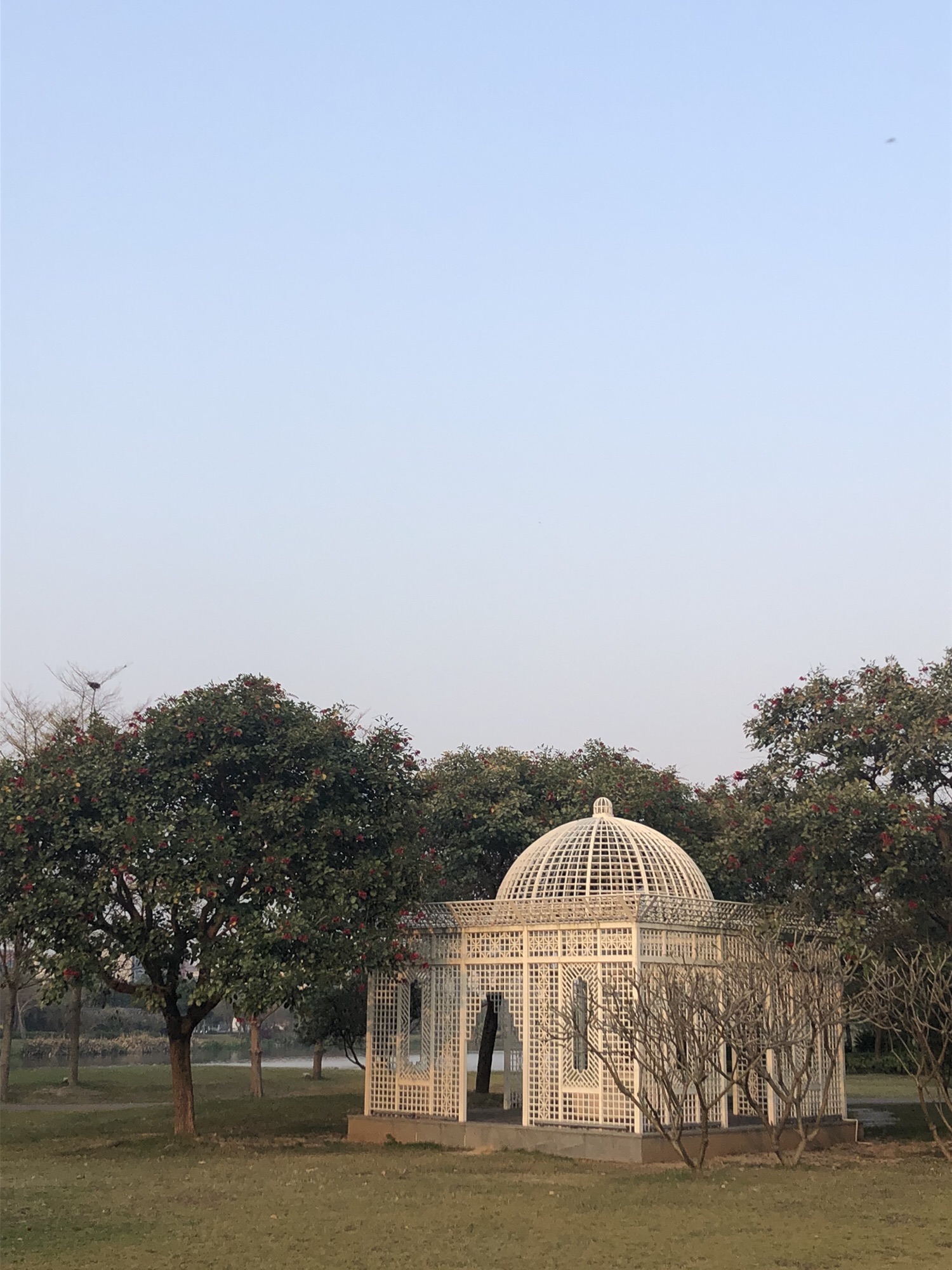 龙溪湖公园旅行图片 3