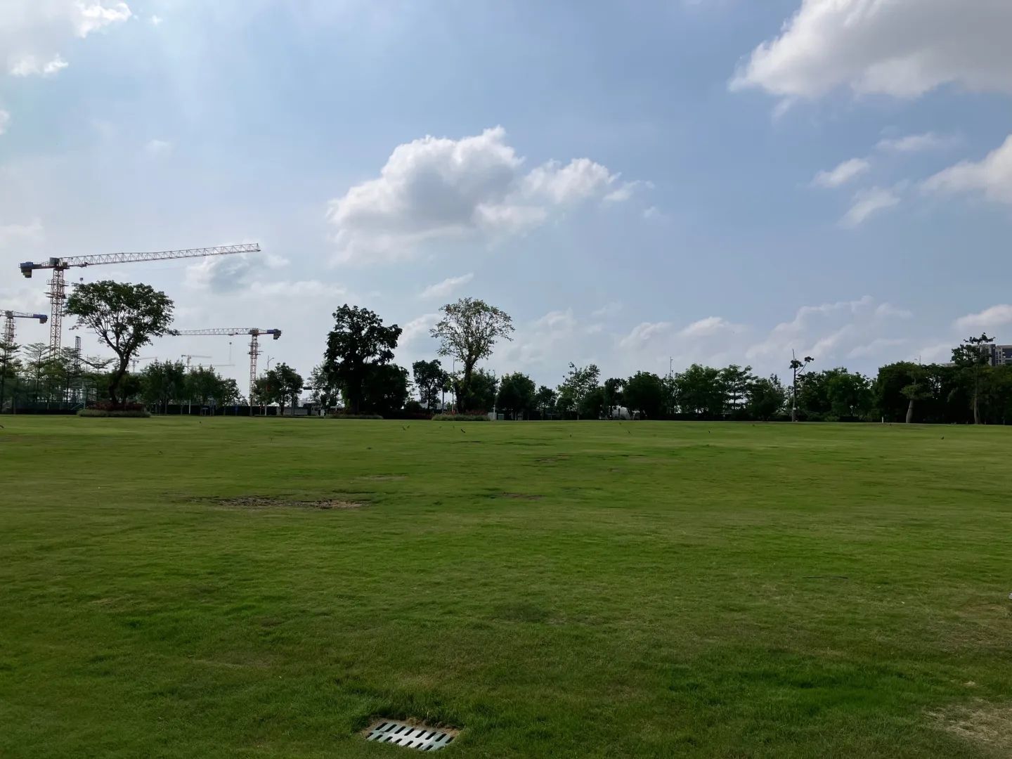 龙溪湖公园旅行图片 1