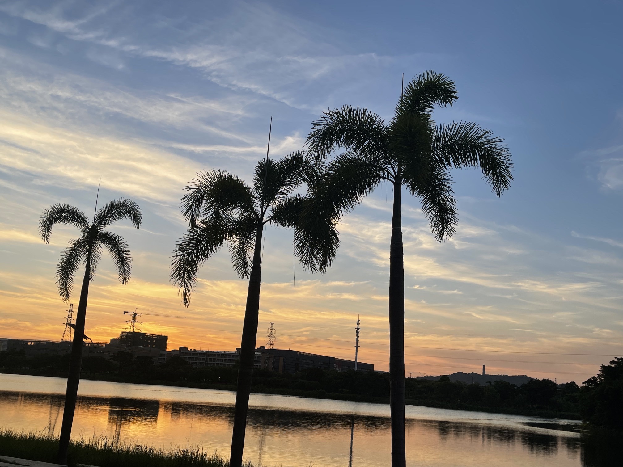 龙溪湖公园旅行图片 2