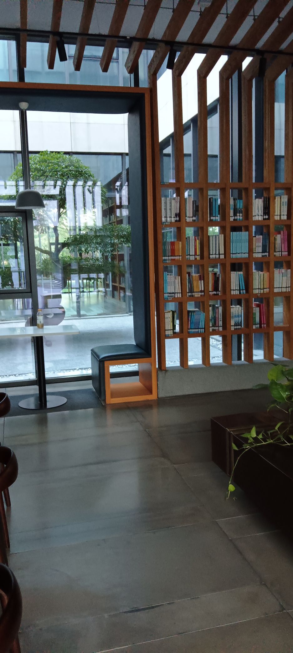 龙溪湖公园旅行图片 3