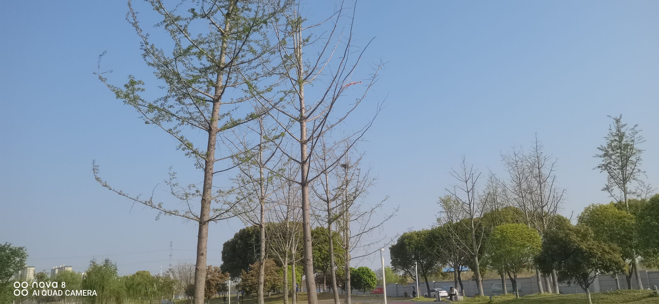 凤栖湖公园旅行图片 1