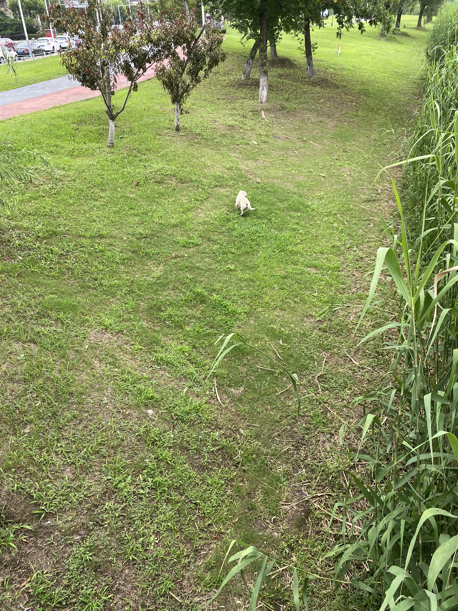 凤栖湖公园旅行图片 3