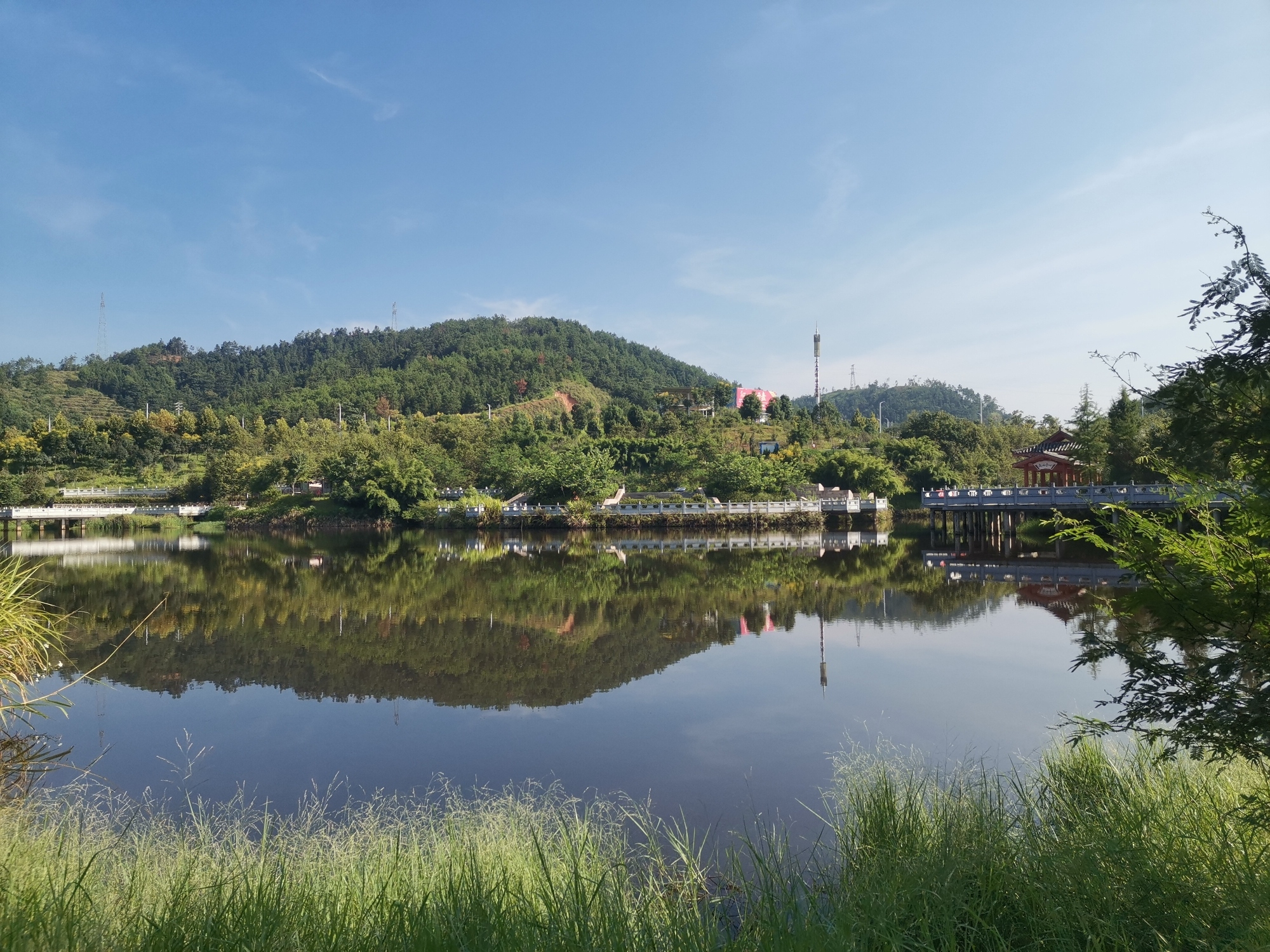 天然湖湿地公园旅行图片 1