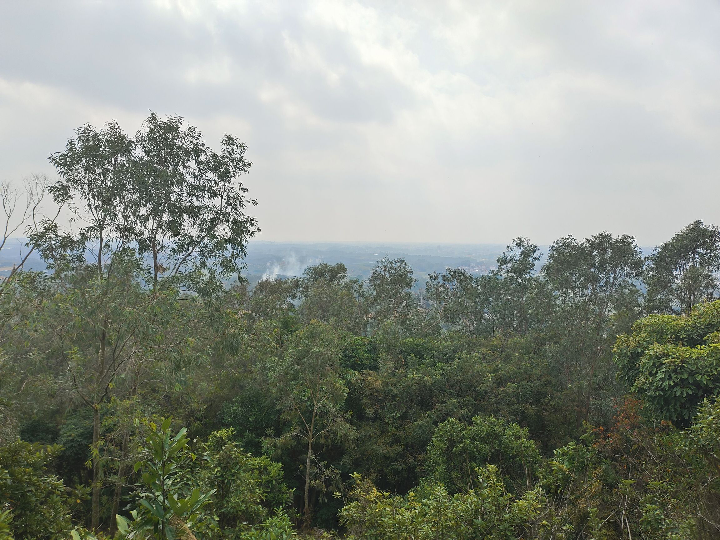 笔架岭森林公园旅行图片 1