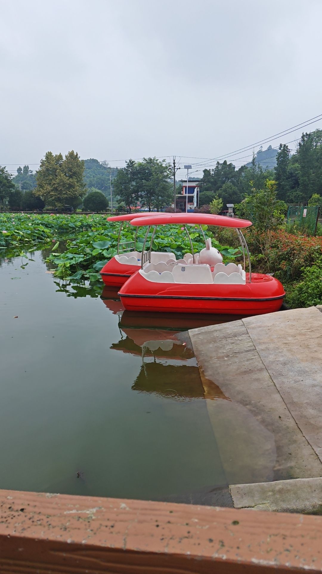 燕山荷塘旅行图片 3