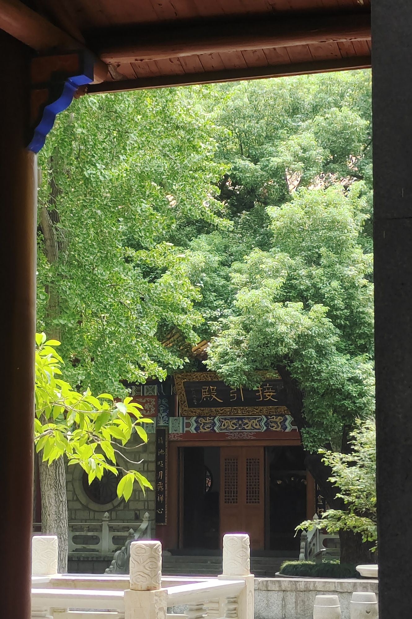 佑民寺文化街区旅行图片 2