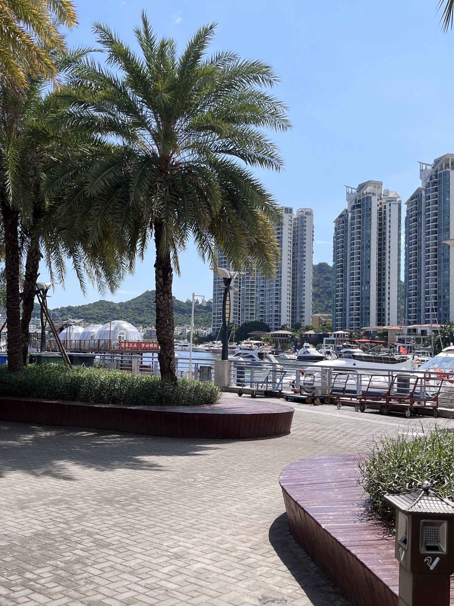 鹿回头滨河公园旅行图片 1