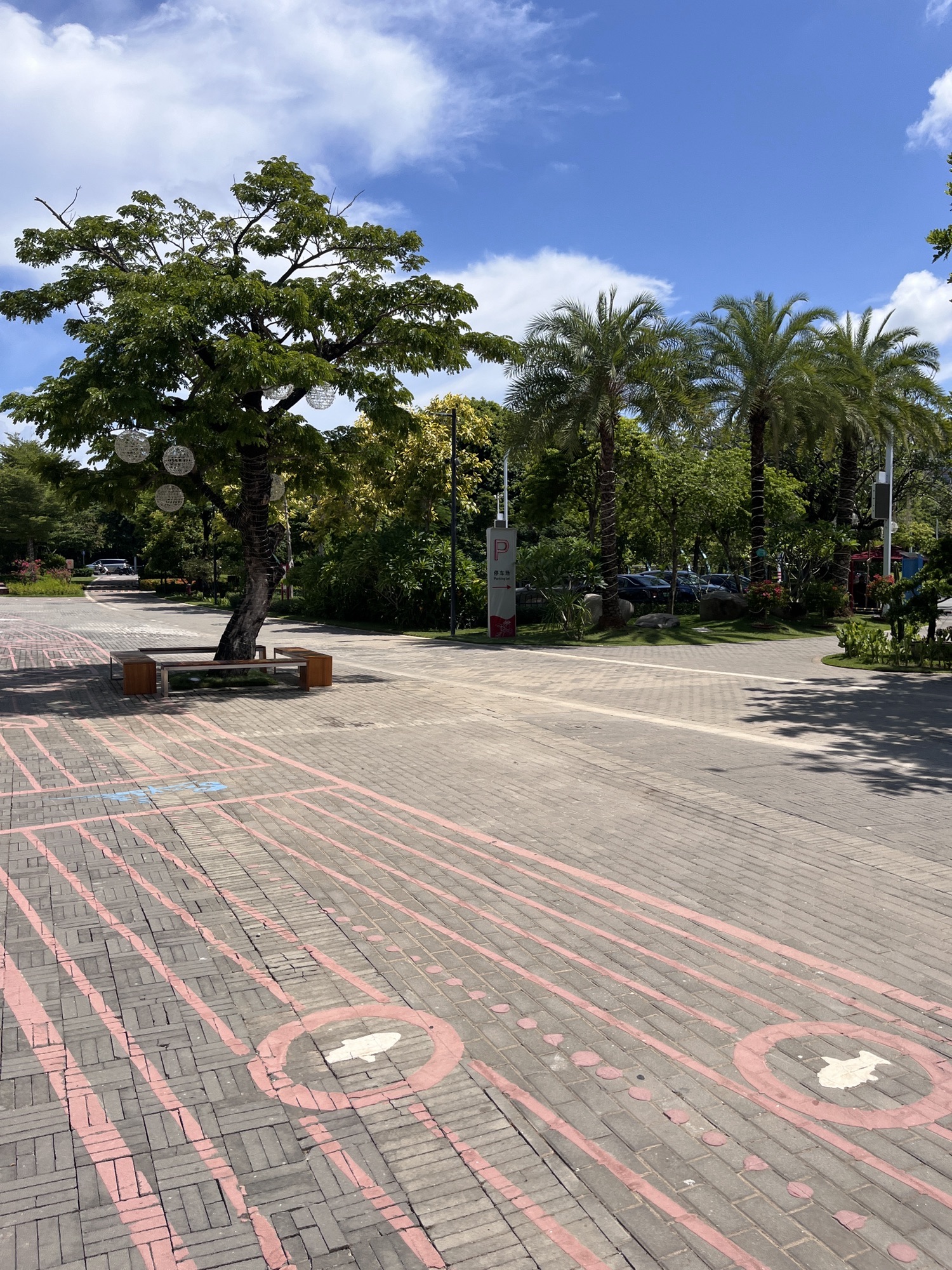 鹿回头滨河公园旅行图片 3