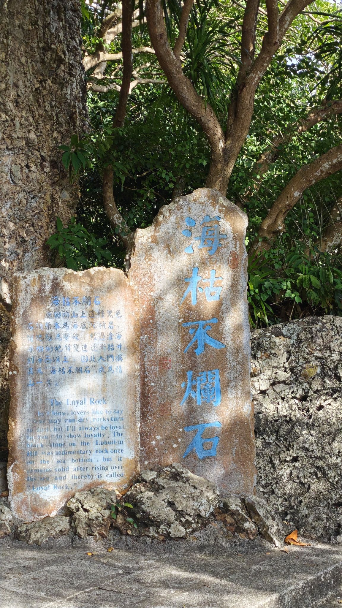 海枯不烂石