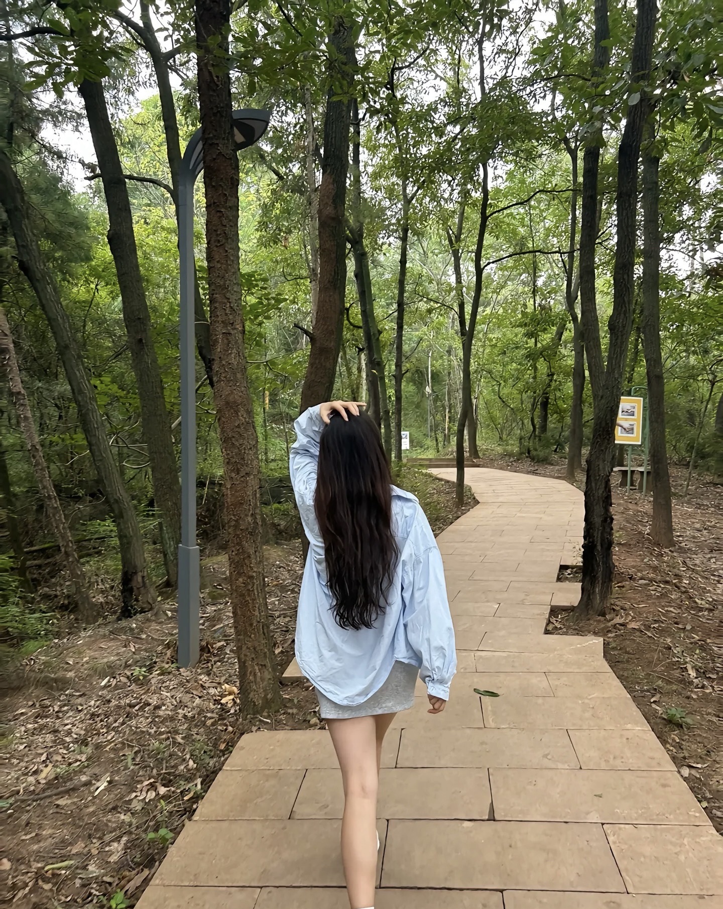 太行山森林运动公园旅行图片 2