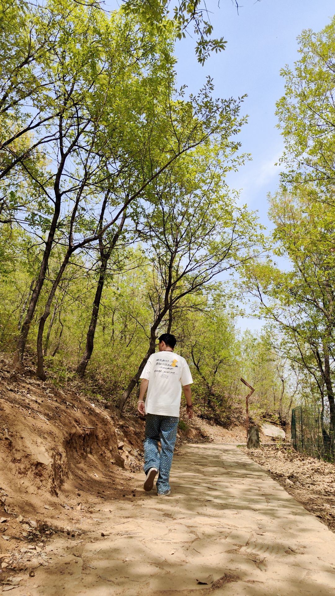 太行山森林运动公园旅行图片 2