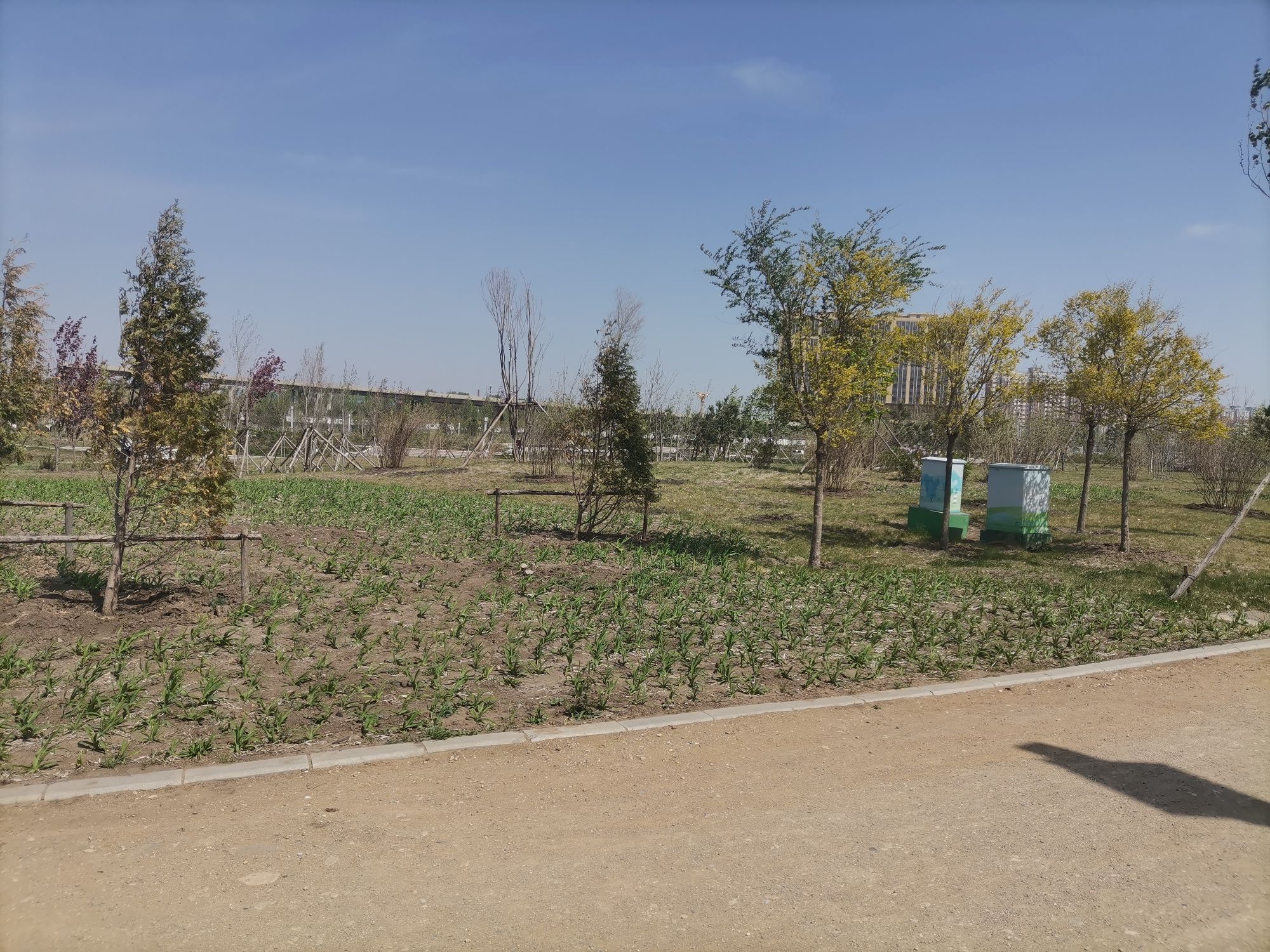 天香公园旅行图片 2
