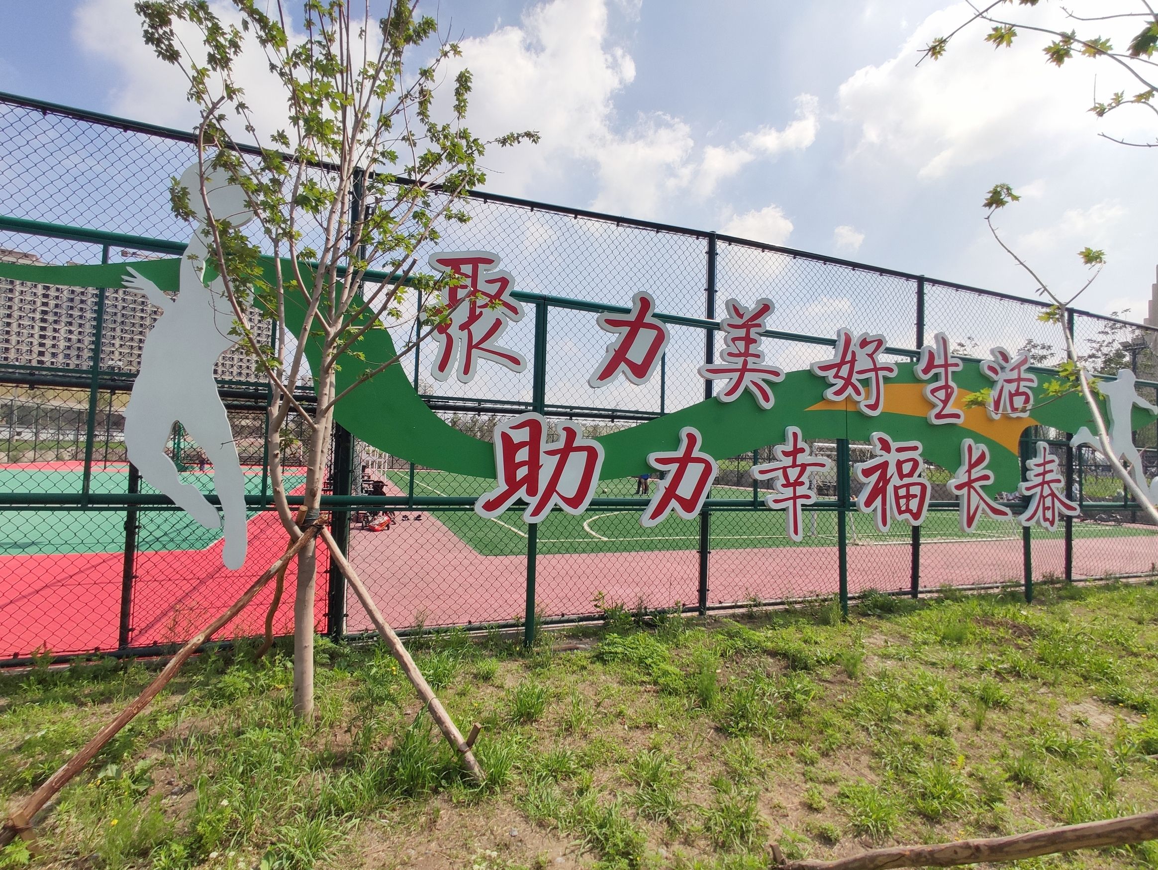 天香公园旅行图片 2