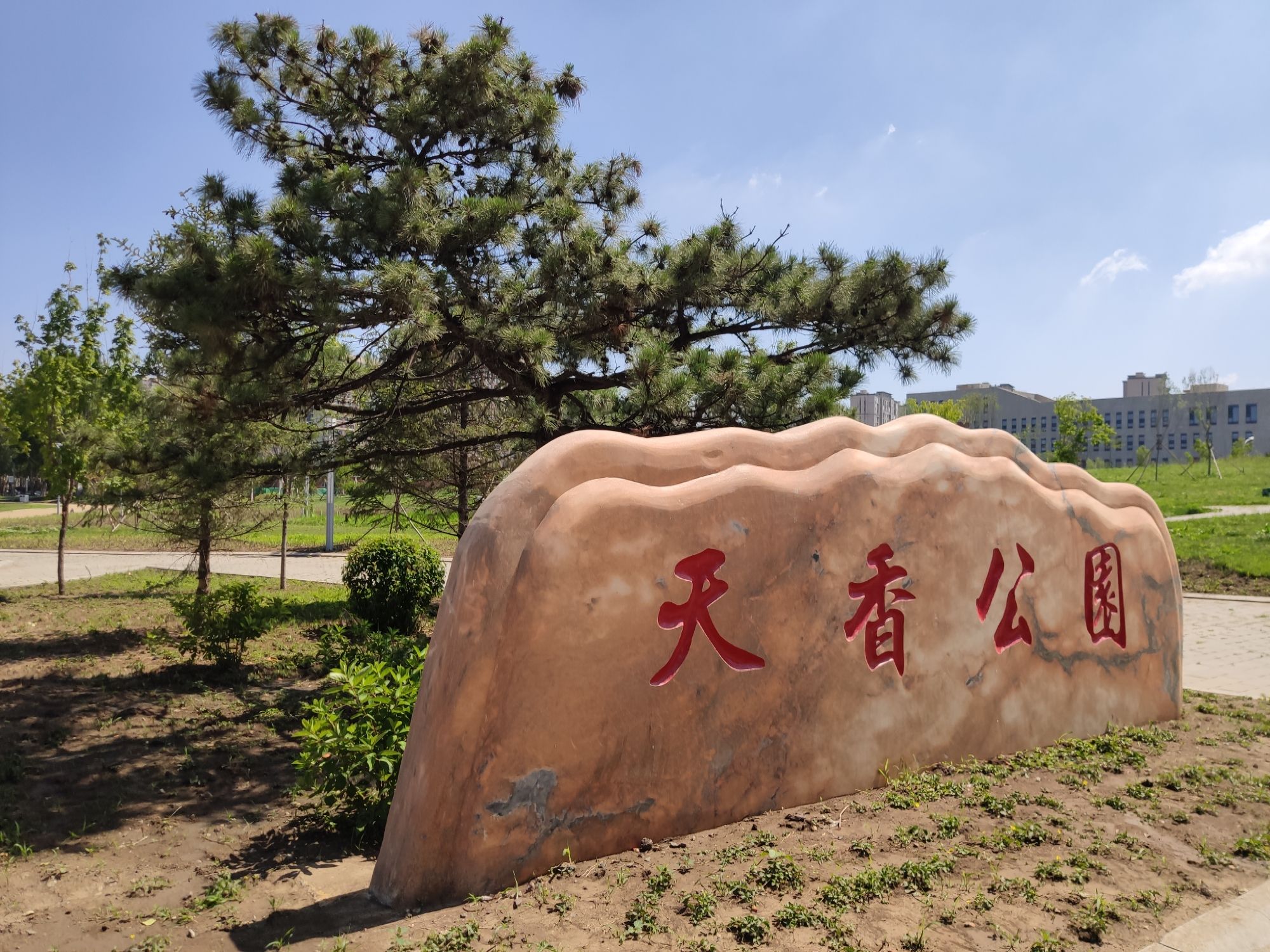 天香公园旅行图片 1