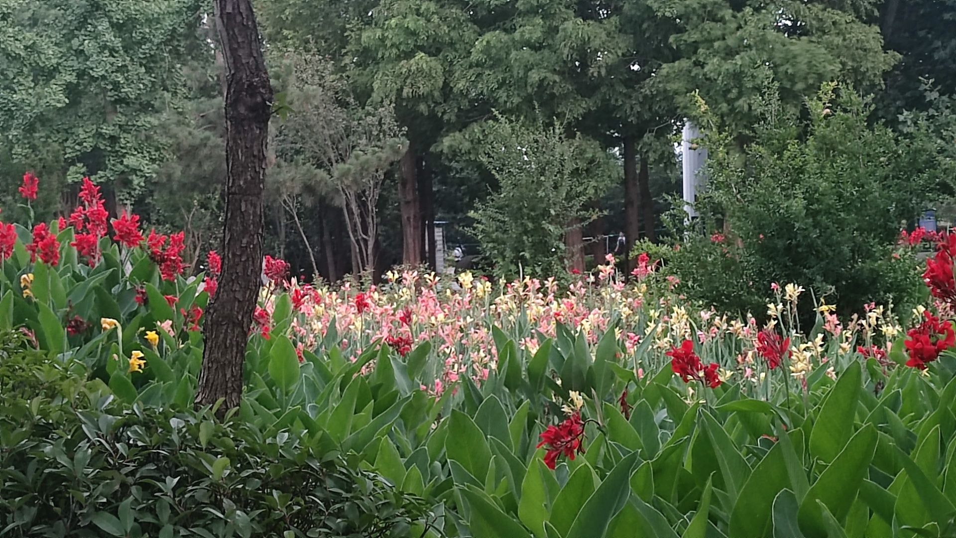 蒙阴汶河公园旅行图片 1