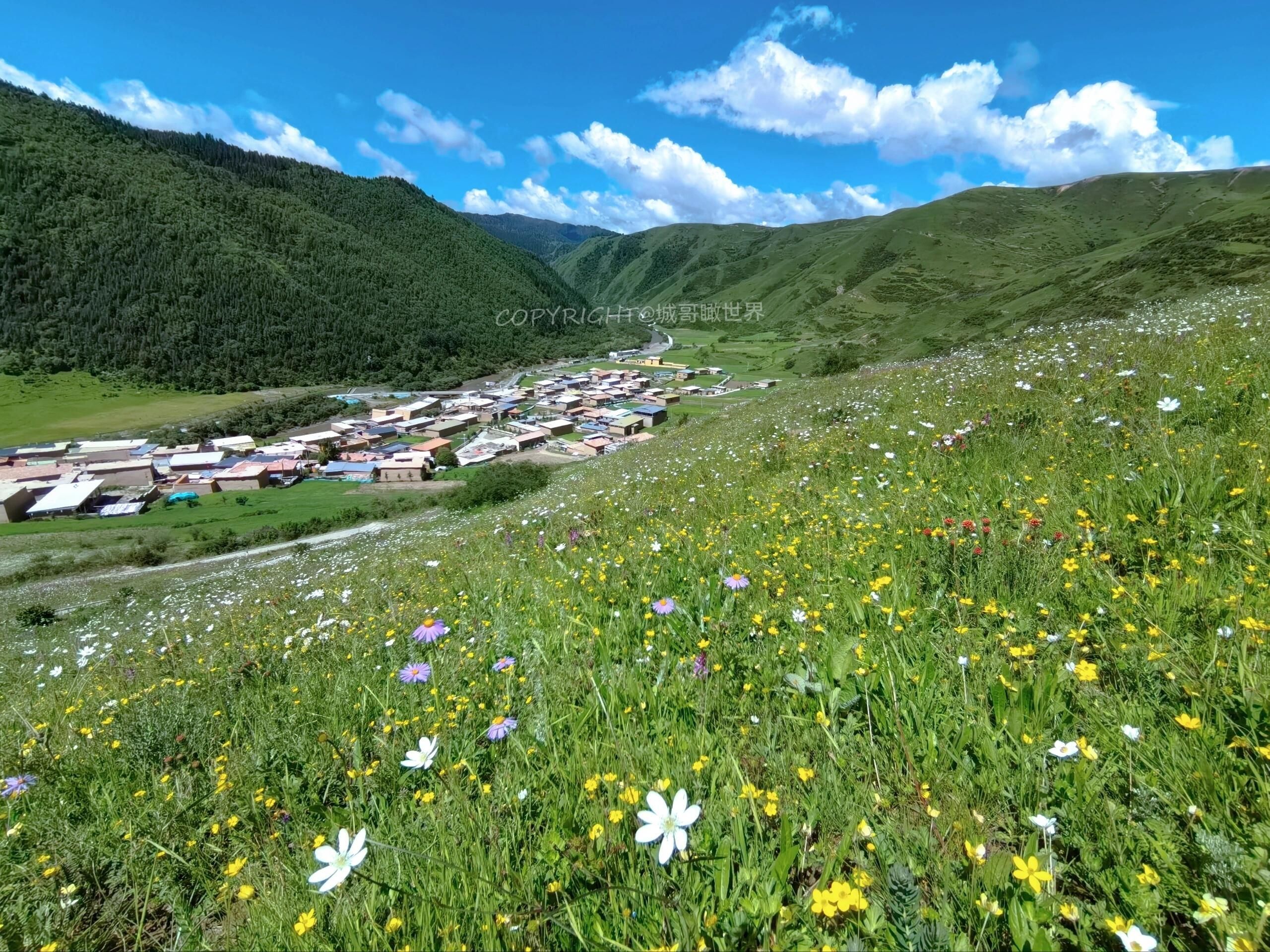 神座旅游村旅行图片 1