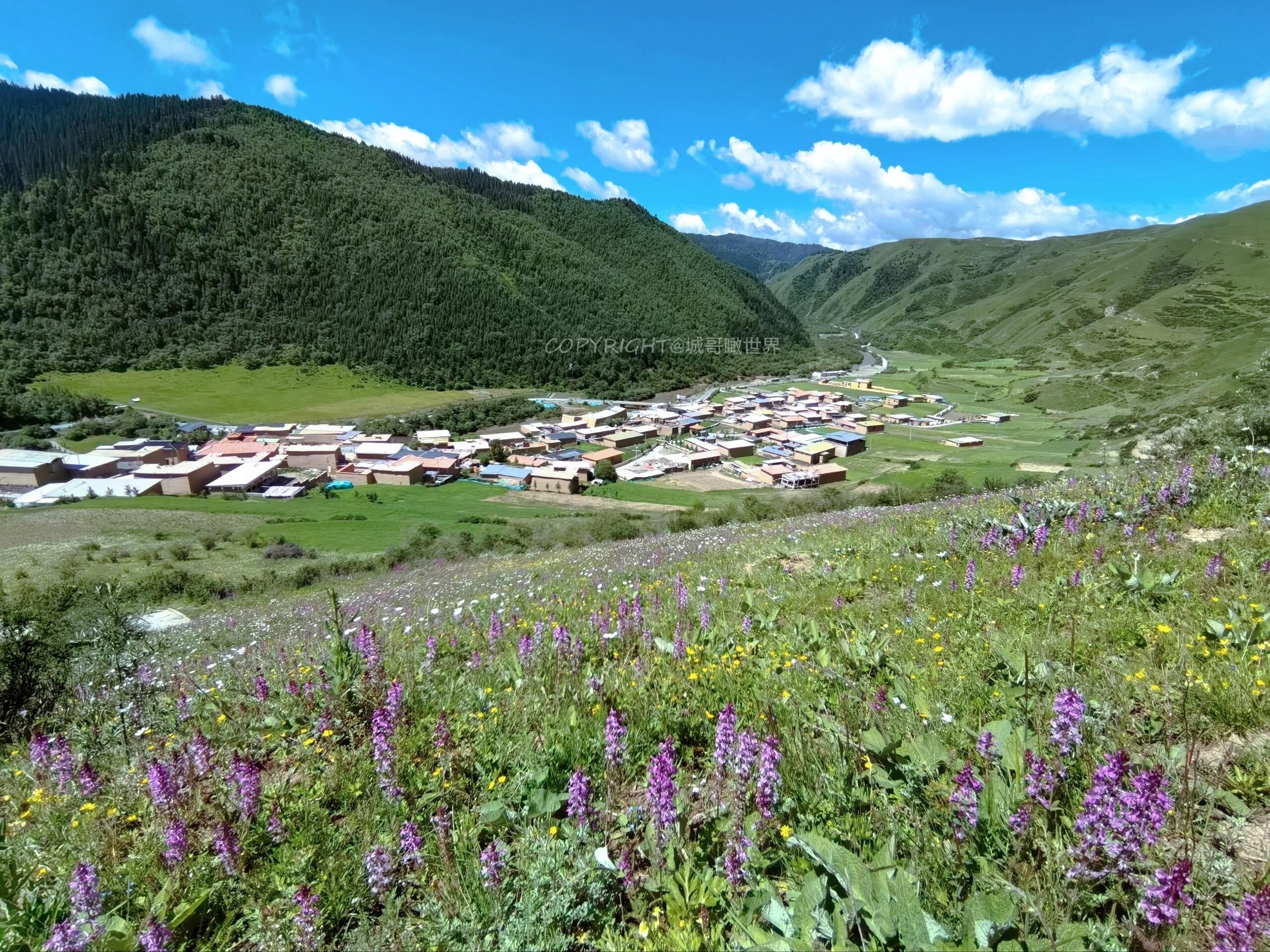 神座旅游村旅行图片 2