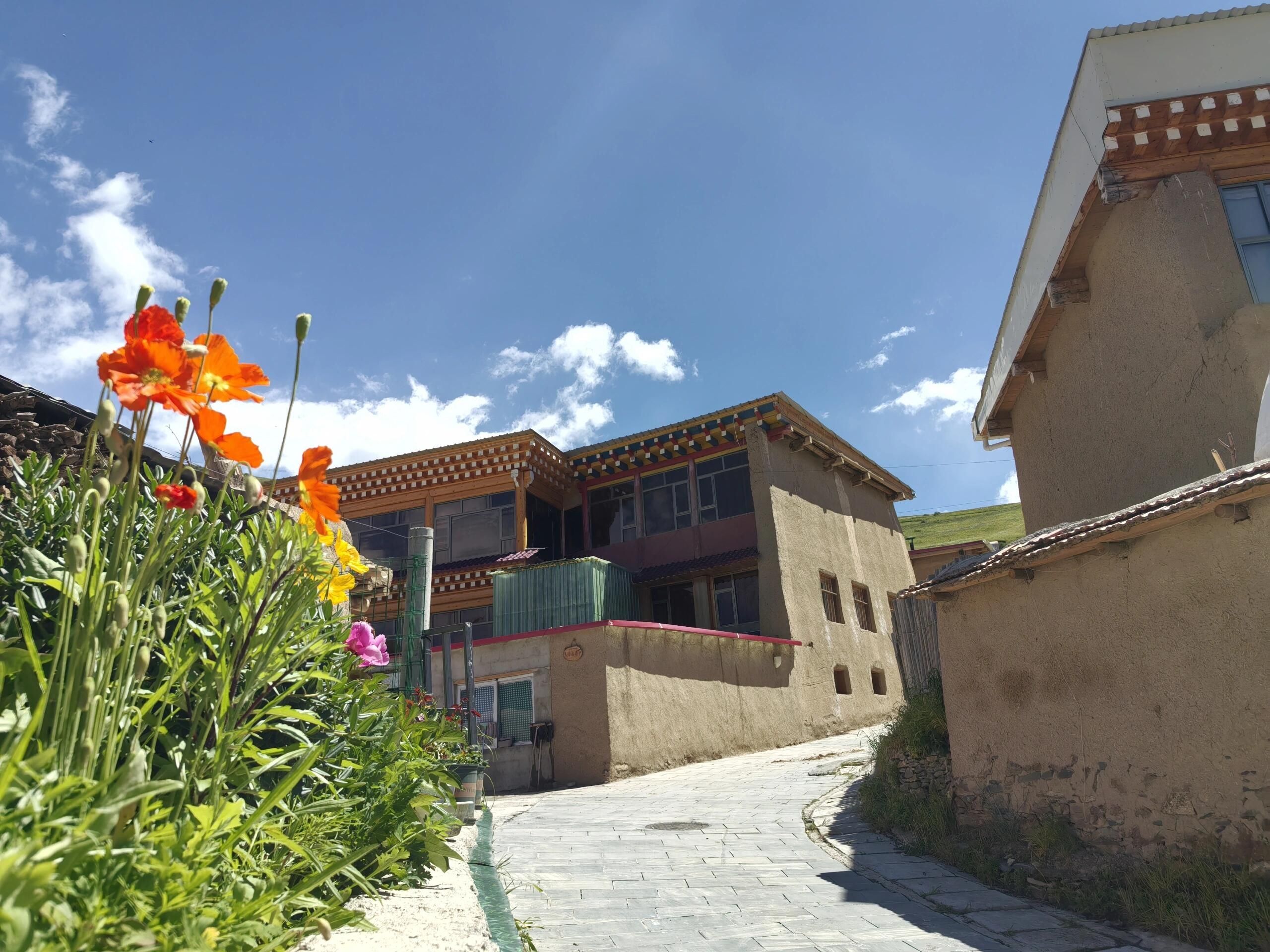 神座旅游村旅行图片 3