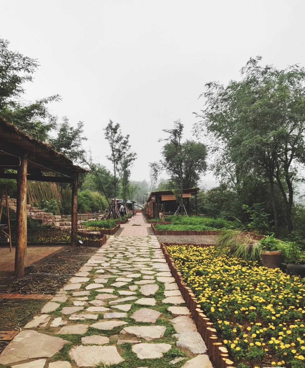 周口建业绿色基地