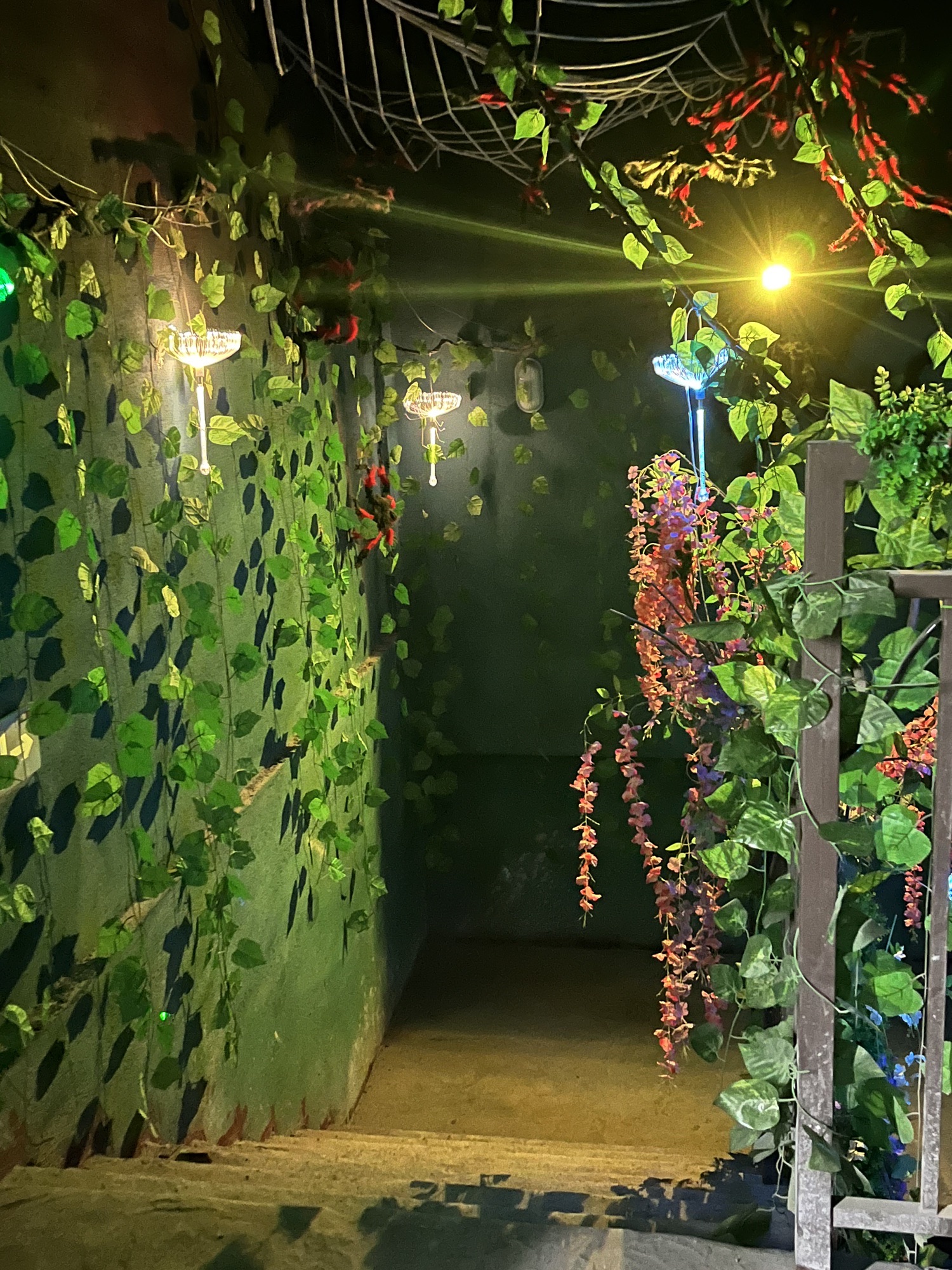 周口建业绿色基地旅行图片 3