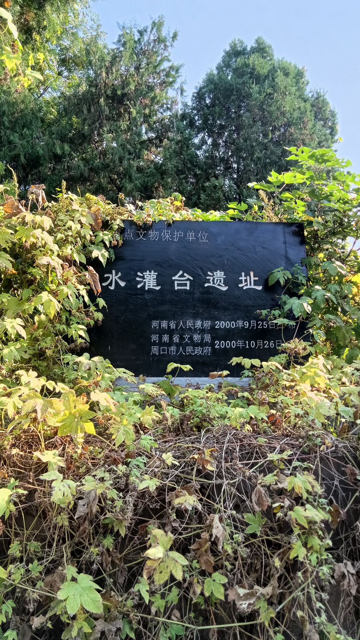 周口水灌台旅行图片 3