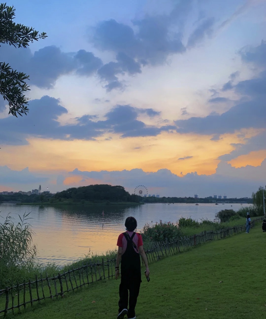 白云湖公园旅行图片 3
