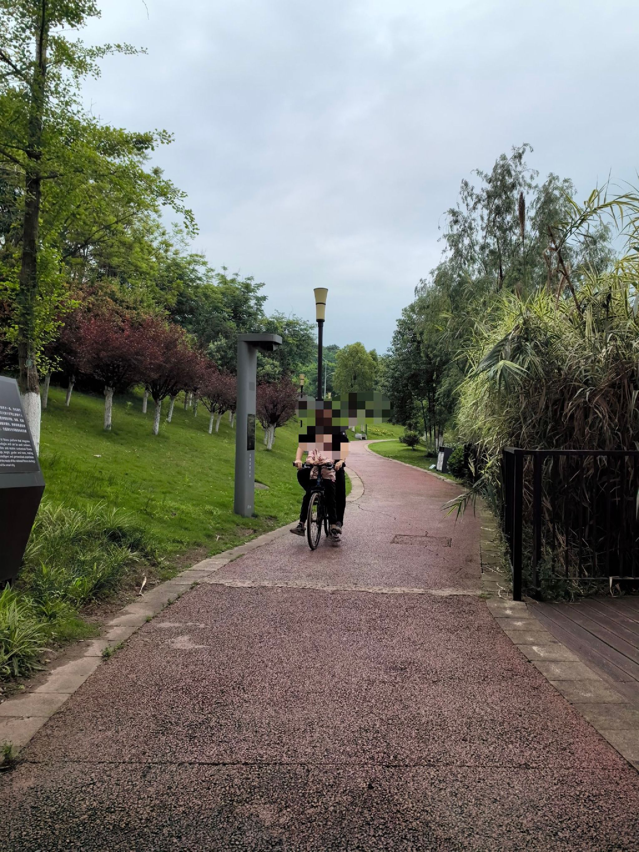 白云湖公园旅行图片 1
