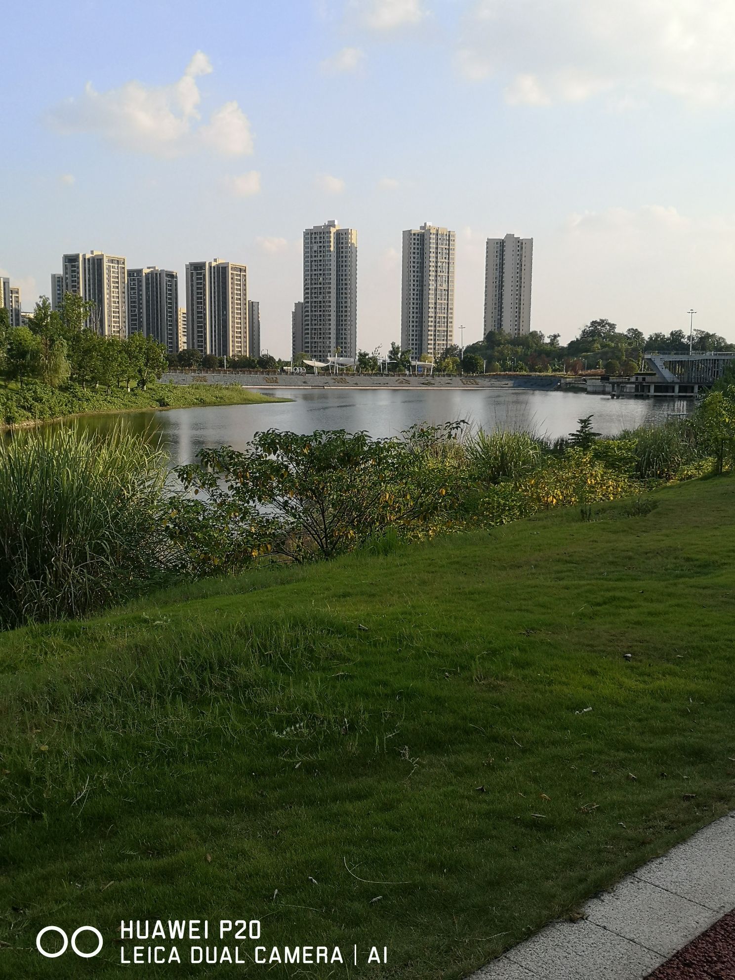 白云湖公园旅行图片 3