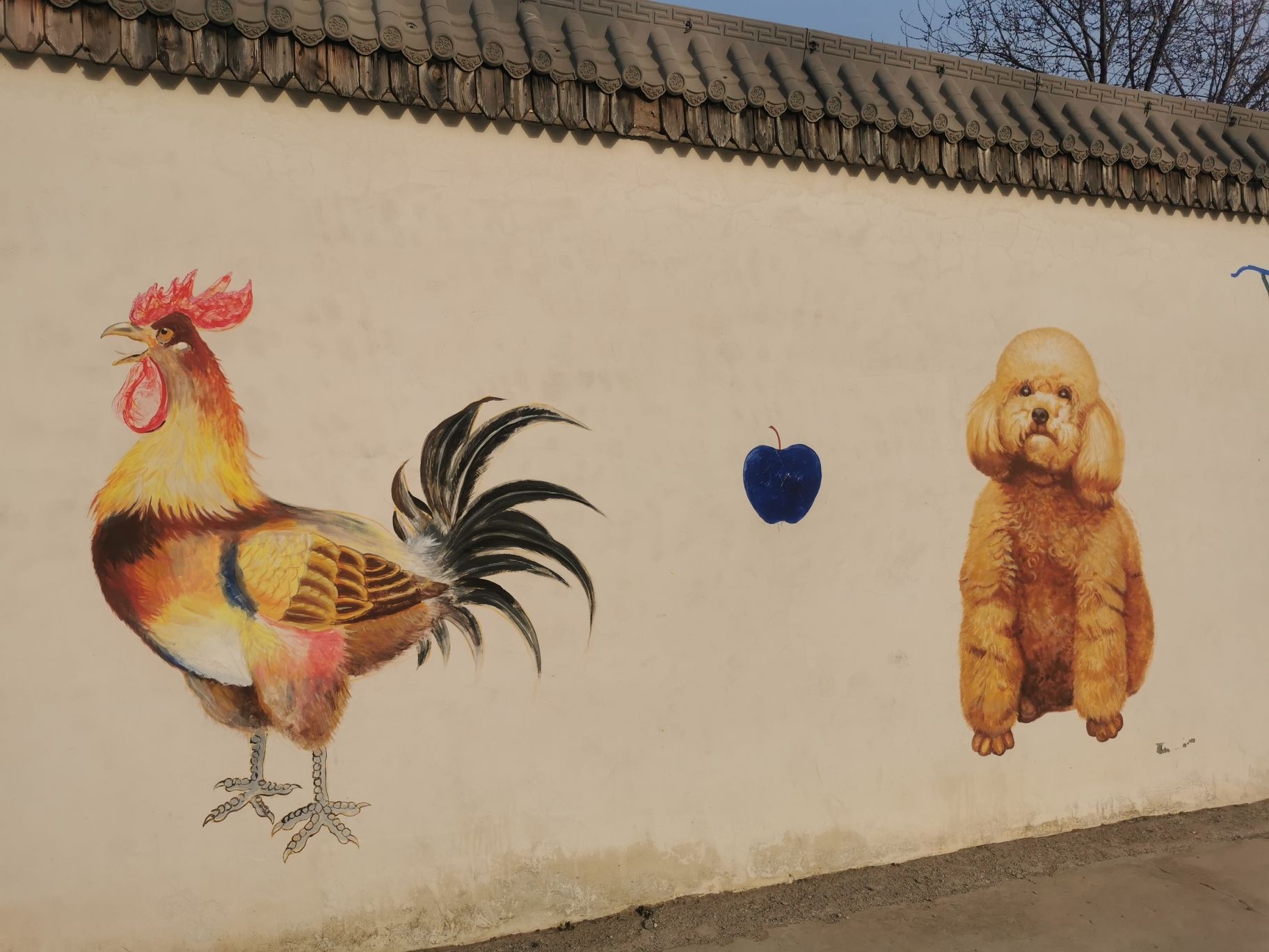 下苑村文化广场旅行图片 3