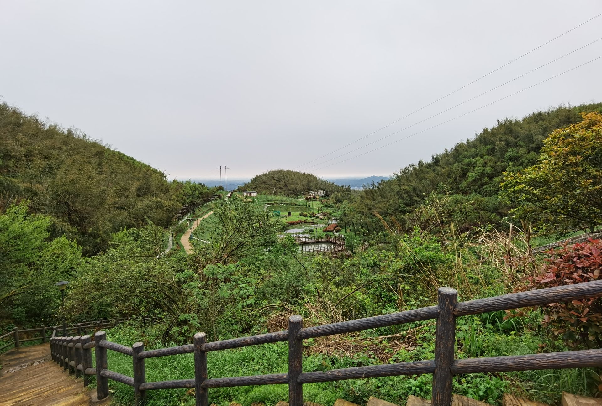 影珠山森林公园旅行图片 3