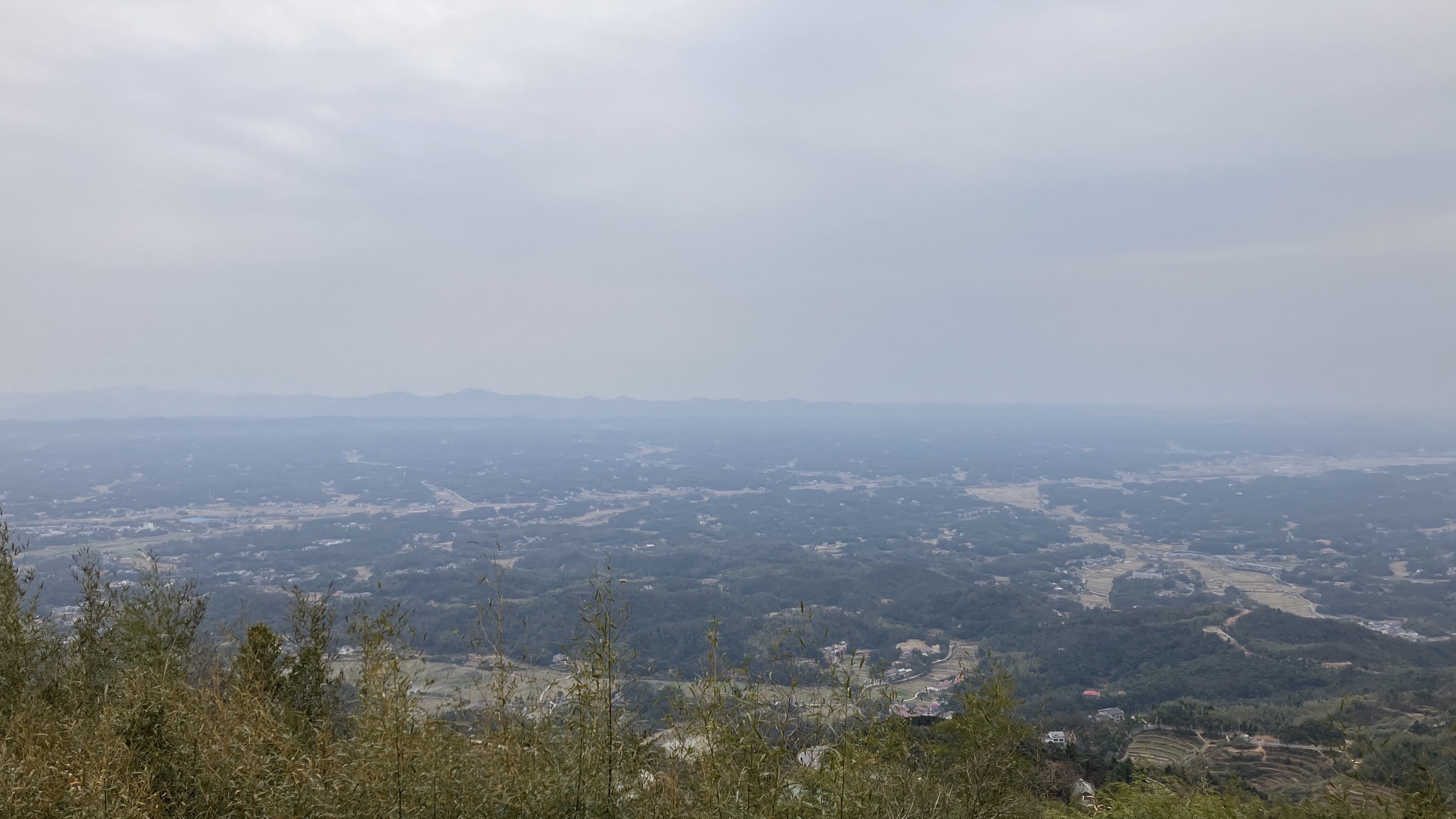 影珠山森林公园旅行图片 3