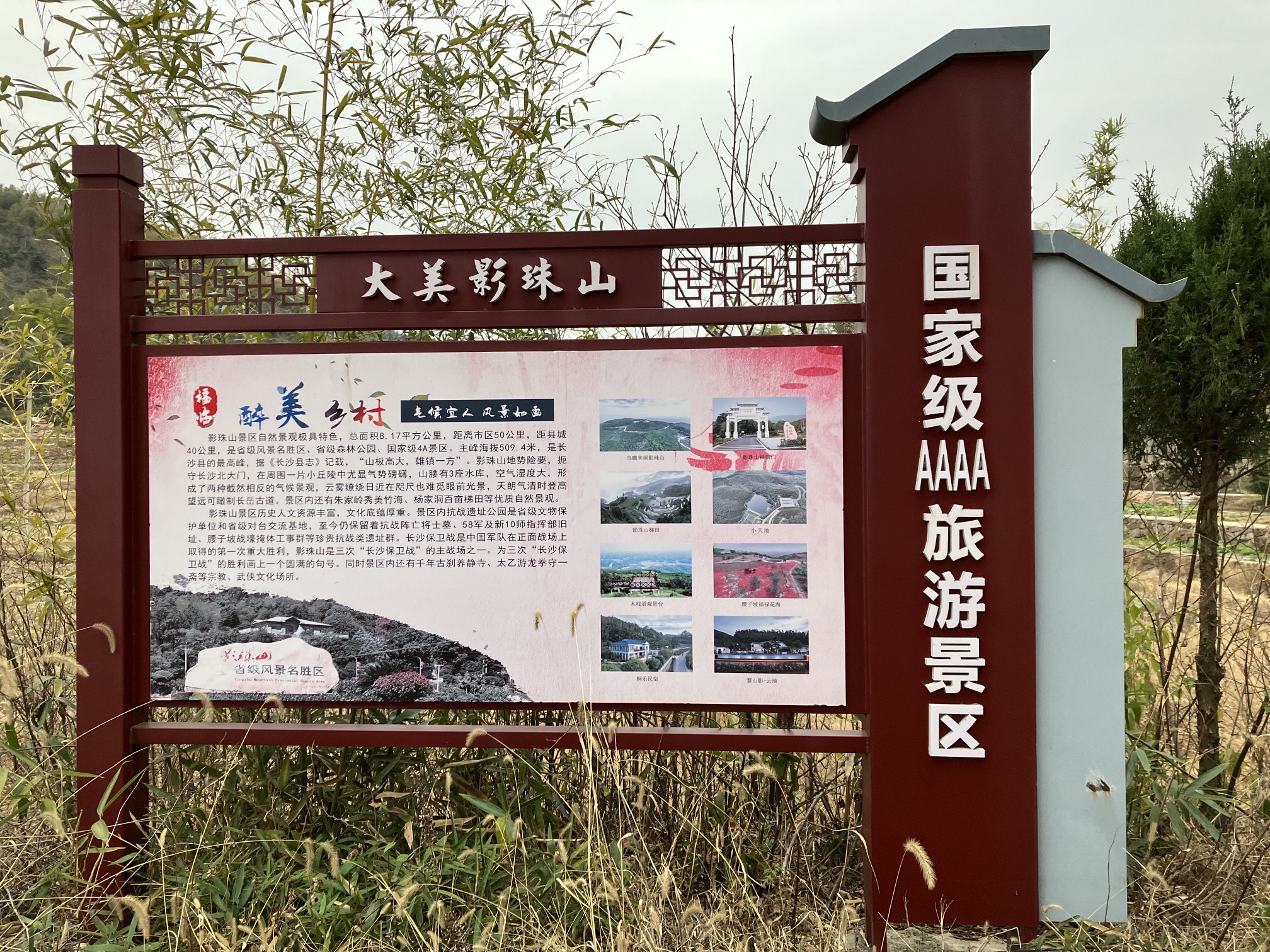 影珠山森林公园旅行图片 1