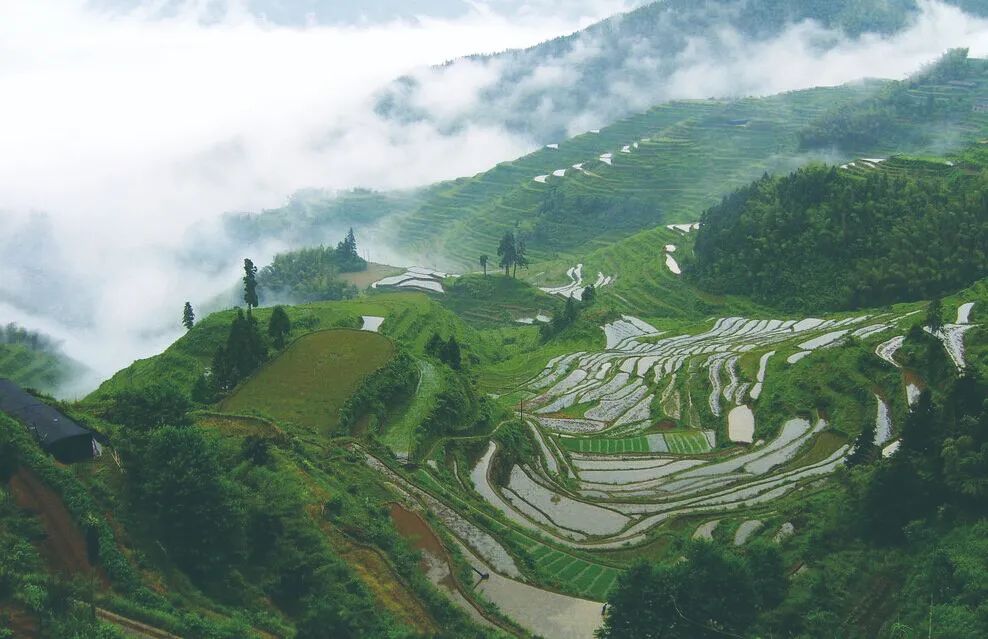 影珠山森林公园旅行图片 2