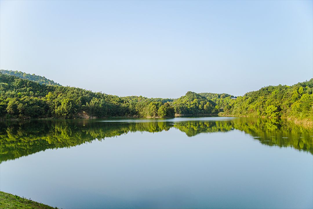 影珠山森林公园旅行图片 3