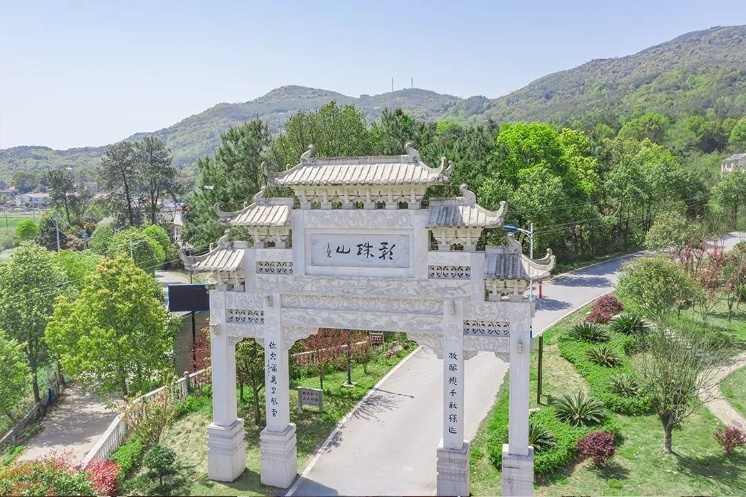 影珠山森林公园旅行图片 1