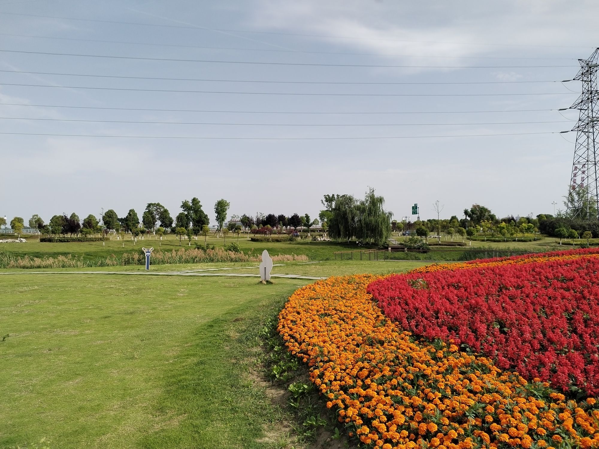 马牧河湿地景观公园旅行图片 3