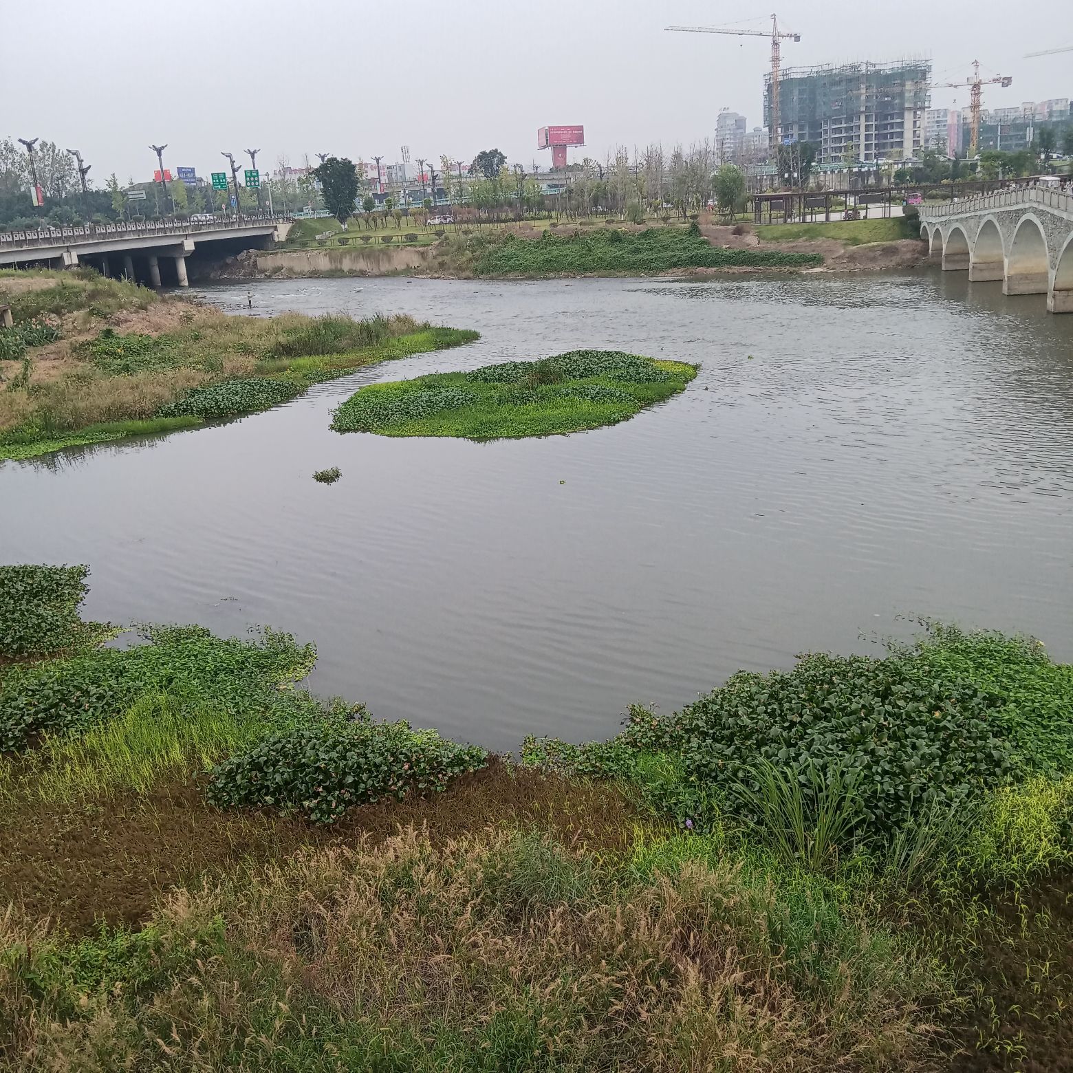 马牧河湿地景观公园旅行图片 2