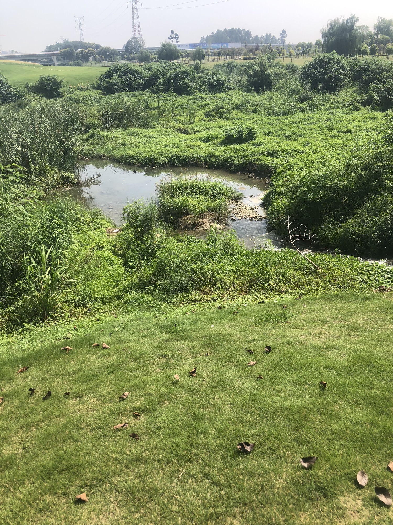 马牧河湿地景观公园旅行图片 3