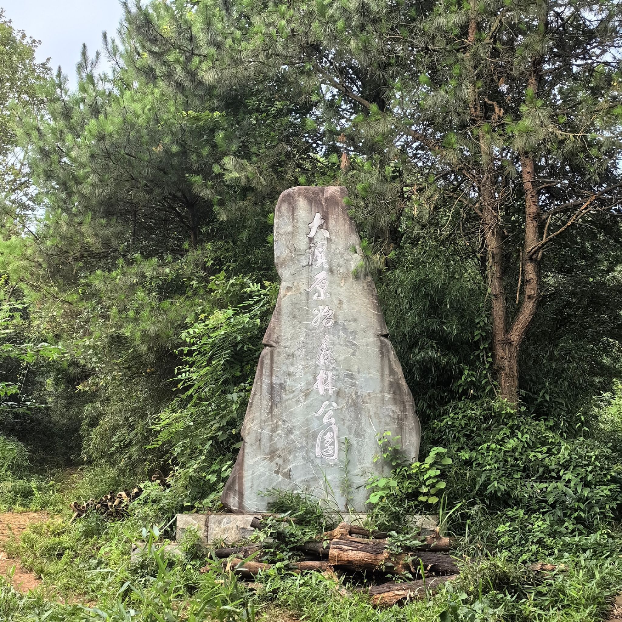 大溪原始森林公园旅行图片 1