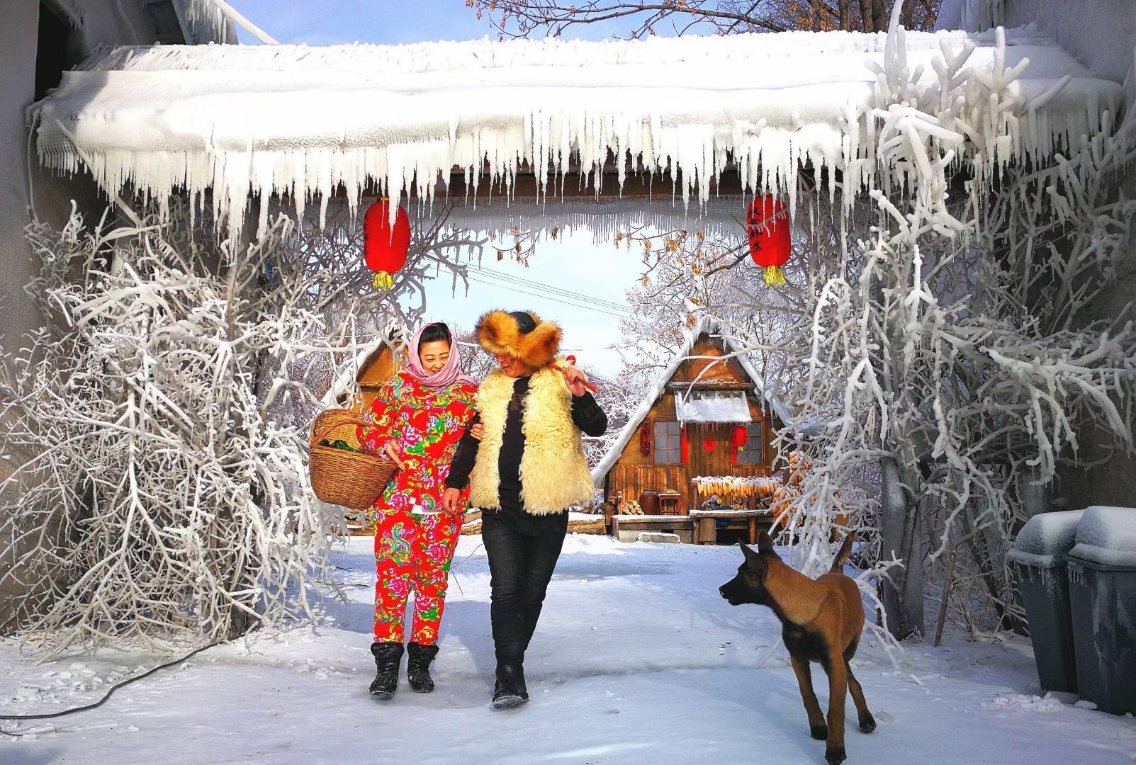 肇大鸡山国家森林公园枫雪部落景区旅行图片 1
