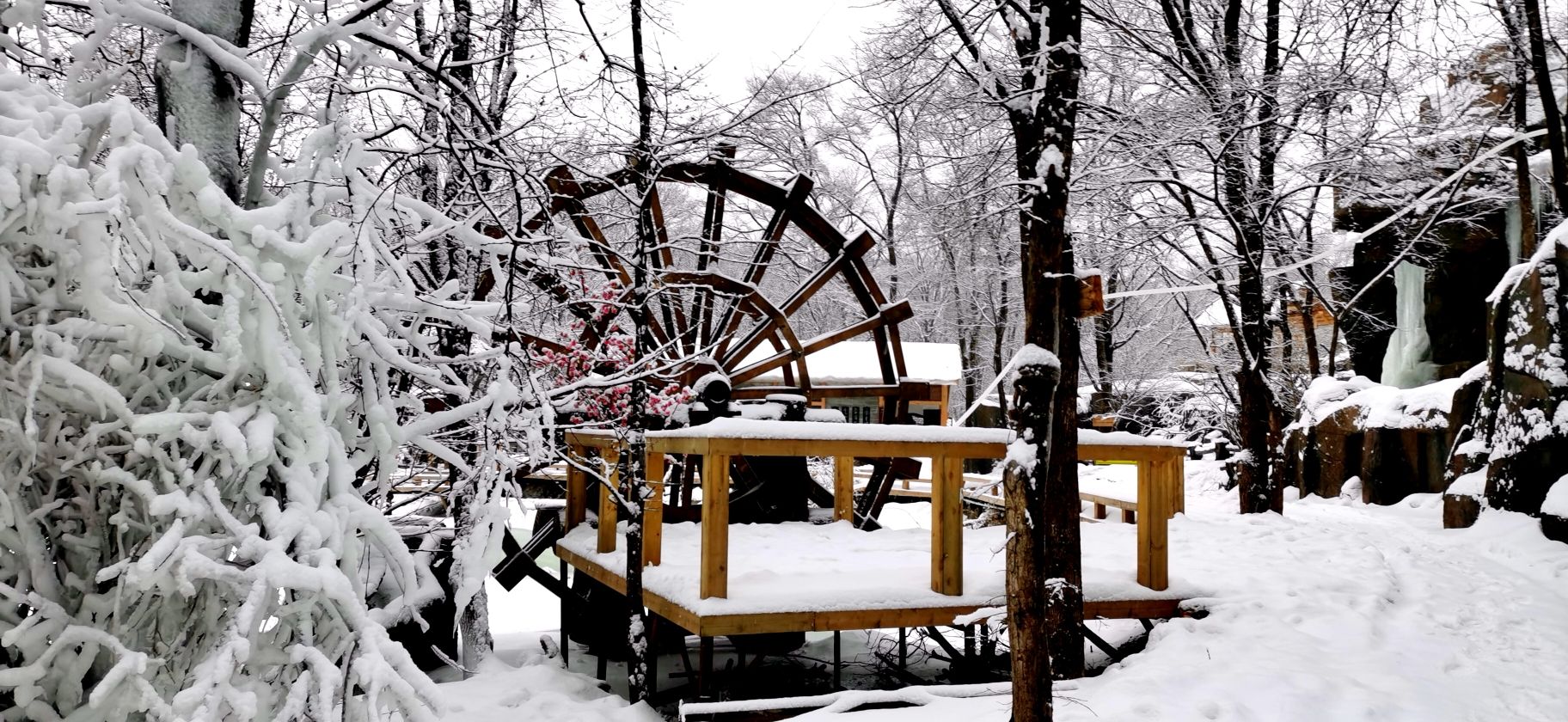 肇大鸡山国家森林公园枫雪部落景区旅行图片 3