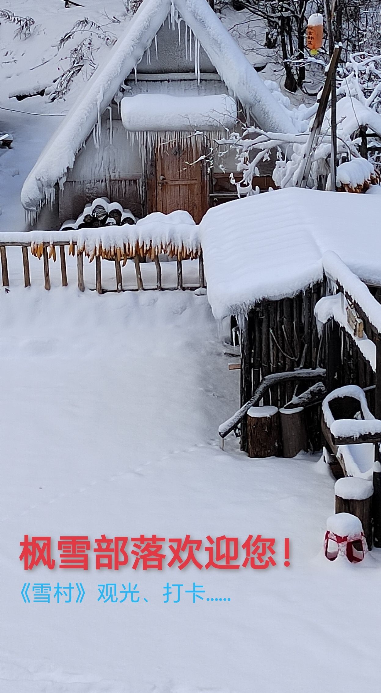 肇大鸡山国家森林公园枫雪部落景区旅行图片 2