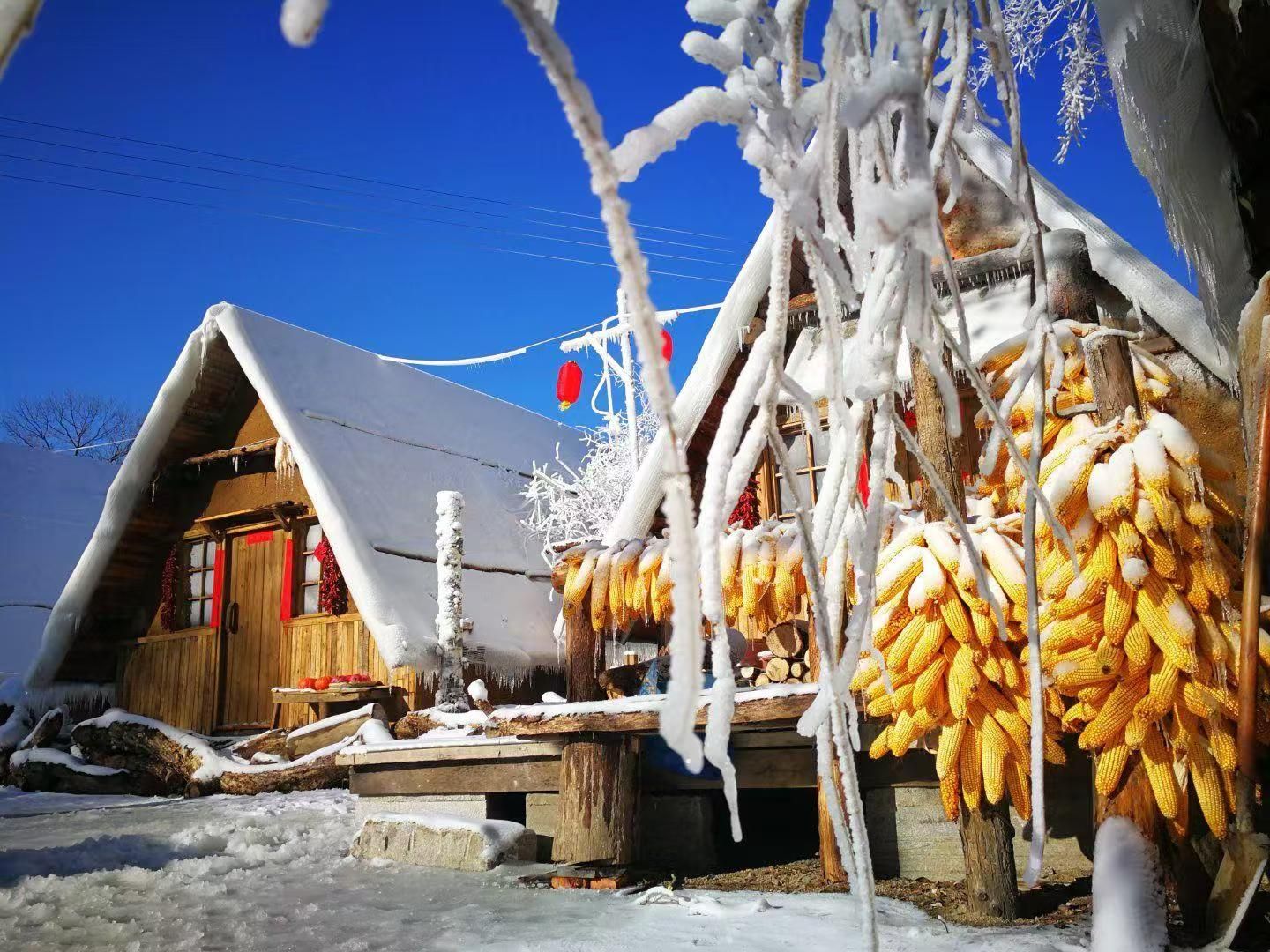 肇大鸡山国家森林公园枫雪部落景区旅行图片 3