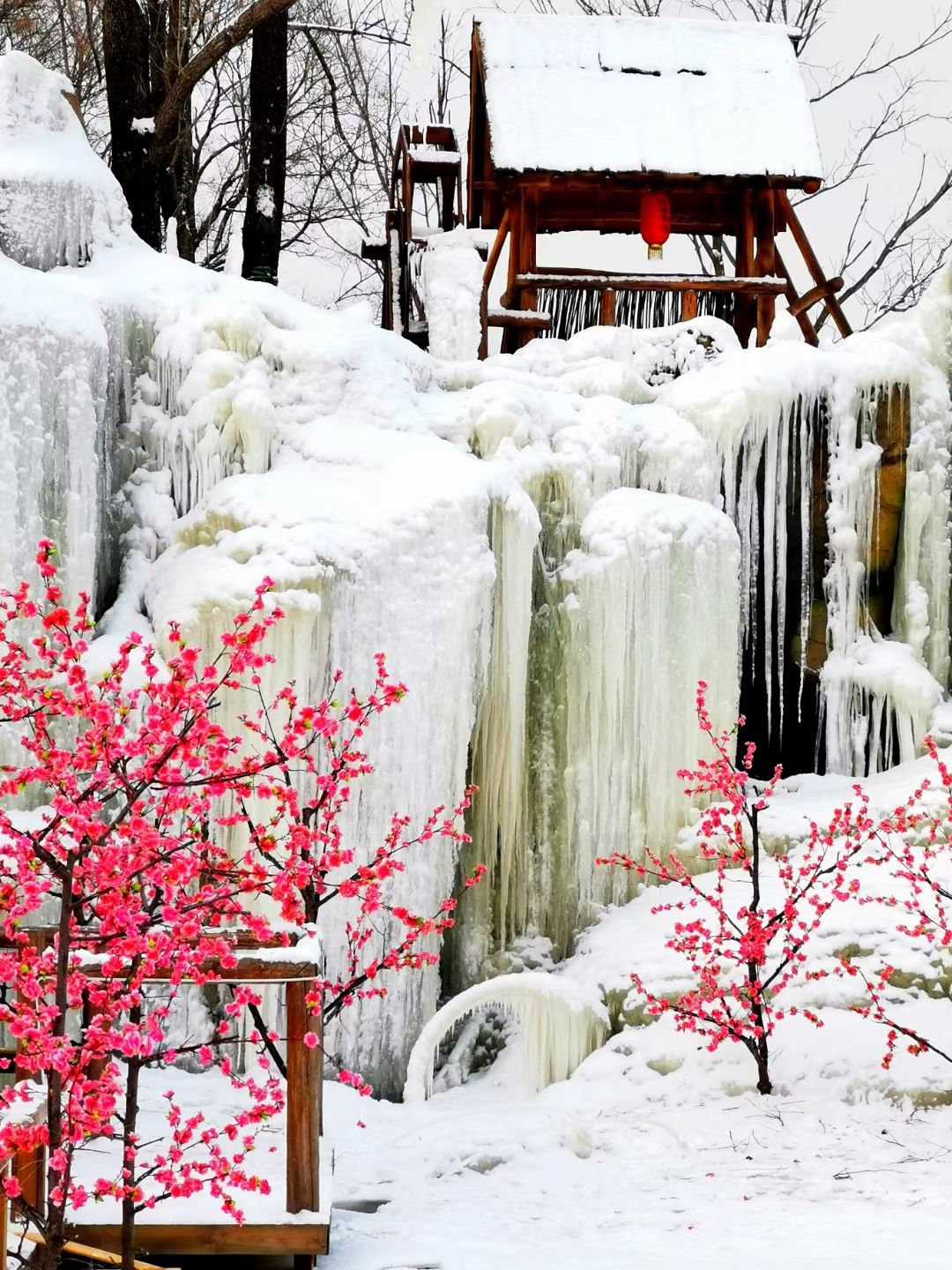 肇大鸡山国家森林公园枫雪部落景区旅行图片 2