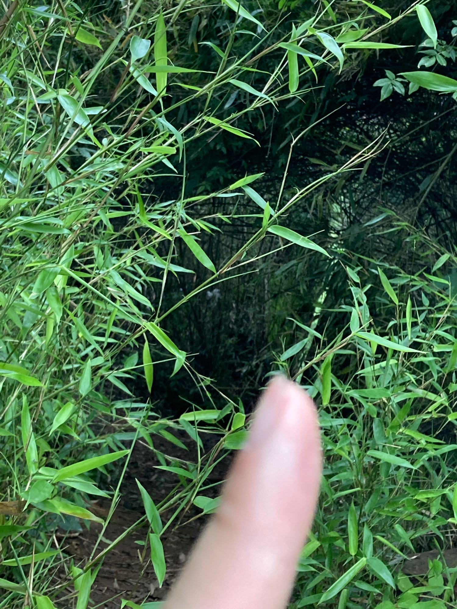一线天旅行图片 1