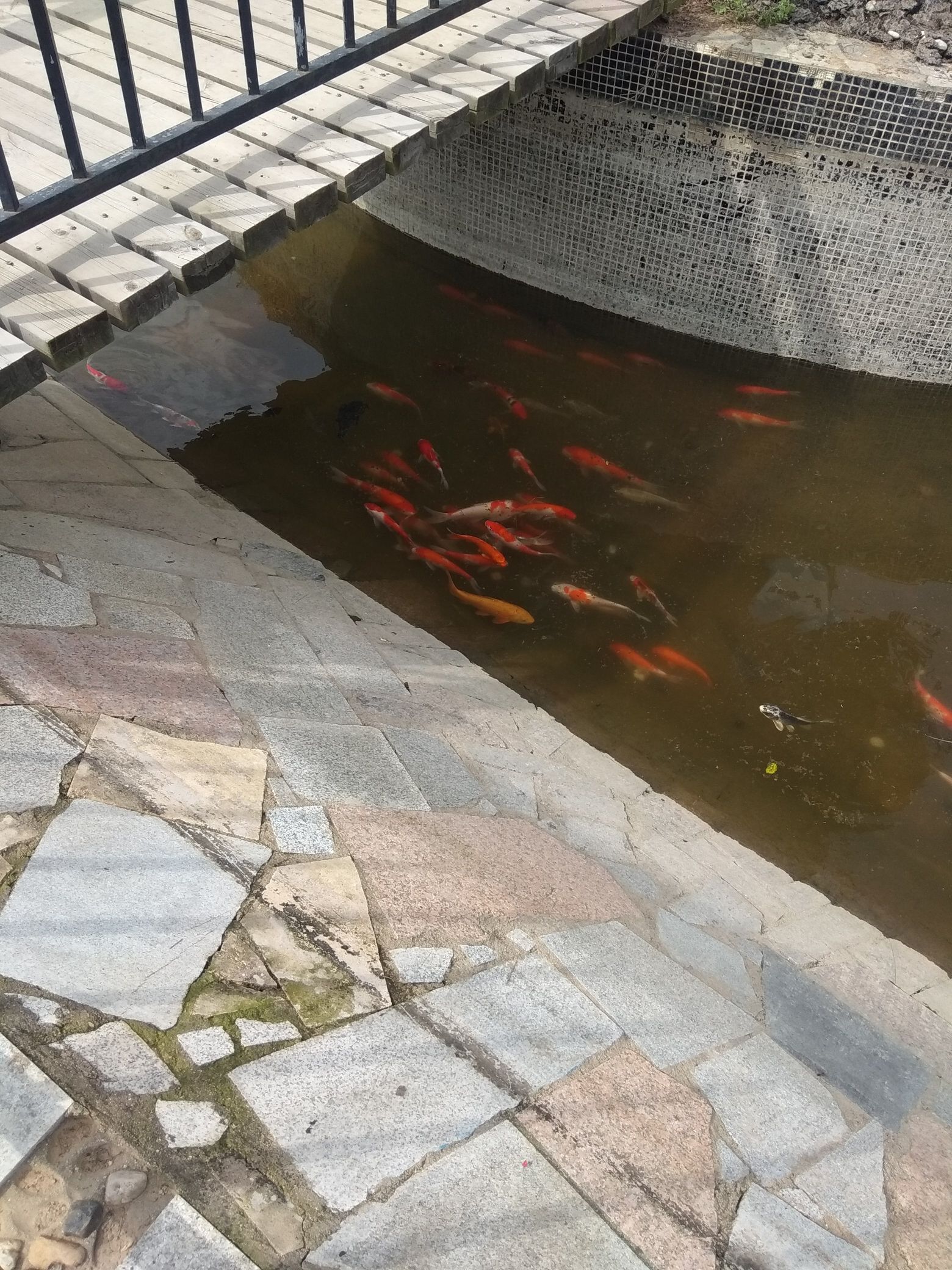市政公园旅行图片 3