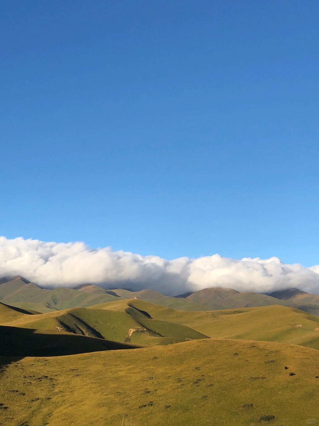 坝上农耕旅行图片 3