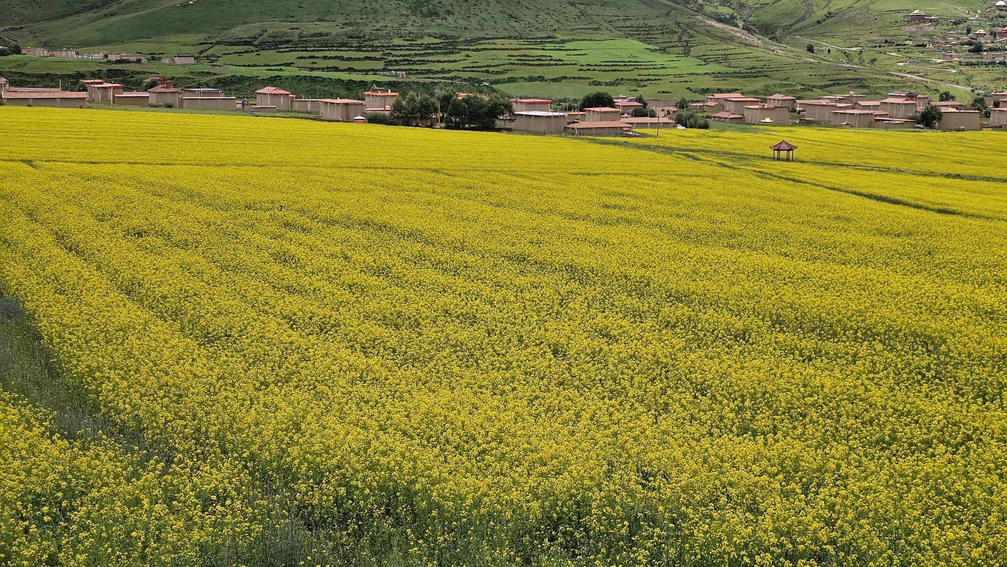 坝上农耕旅行图片 3