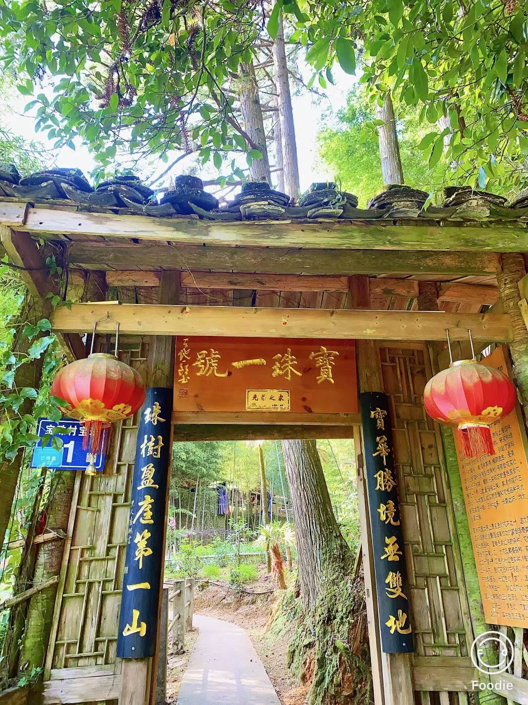 宝珠一号百合文化园旅行图片 1